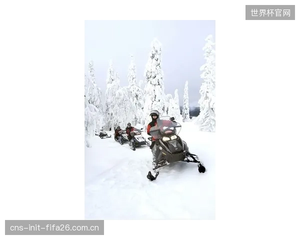 芬兰Ruka滑雪中心部署Reichmann自动化打蜡系统，通过智能温控涂覆流程减少人工操作，以此回应国际雪联对打蜡师长期健康风险的关切